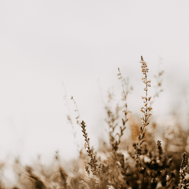 CHANGING. GROWING. LEARNING.