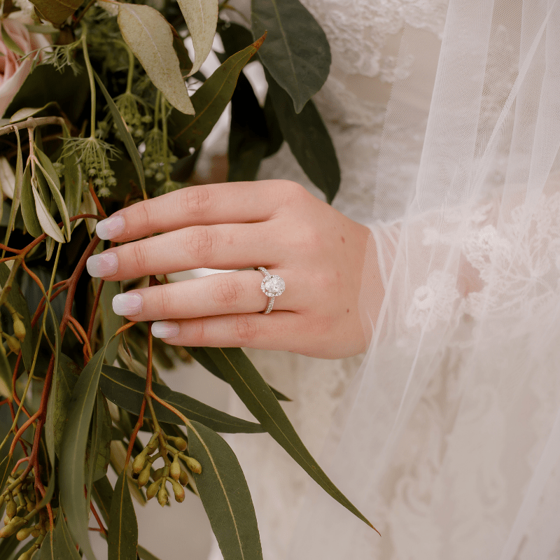 YOUNG WIFE, OLD&nbsp;LESSONS