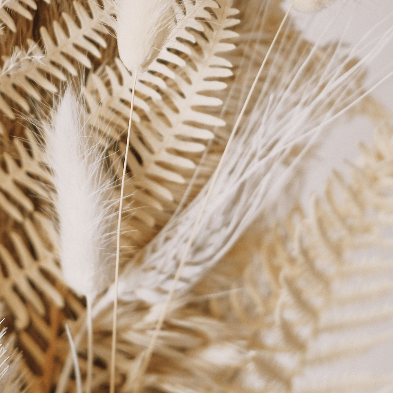 20 BIBLE VERSES ABOUT&nbsp;THANKFULNESS