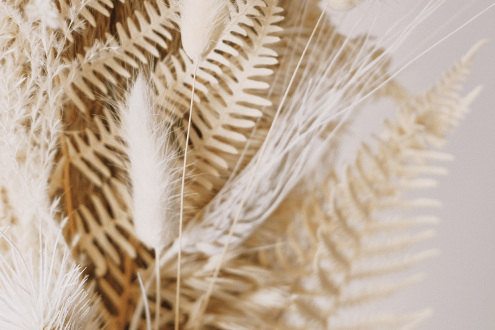 20 BIBLE VERSES ABOUT&nbsp;THANKFULNESS